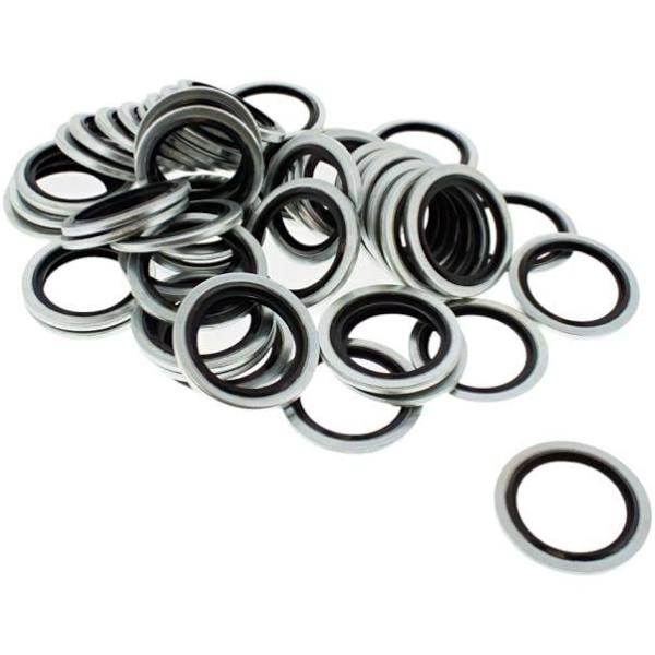 Stainless Steel Bonded Seals BSP Range - Singles - Corseal