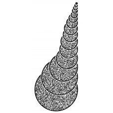 Sponge Cord Neoprene - Corseal