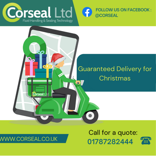 CHRISTMAS GUARANTEED DELIVERY